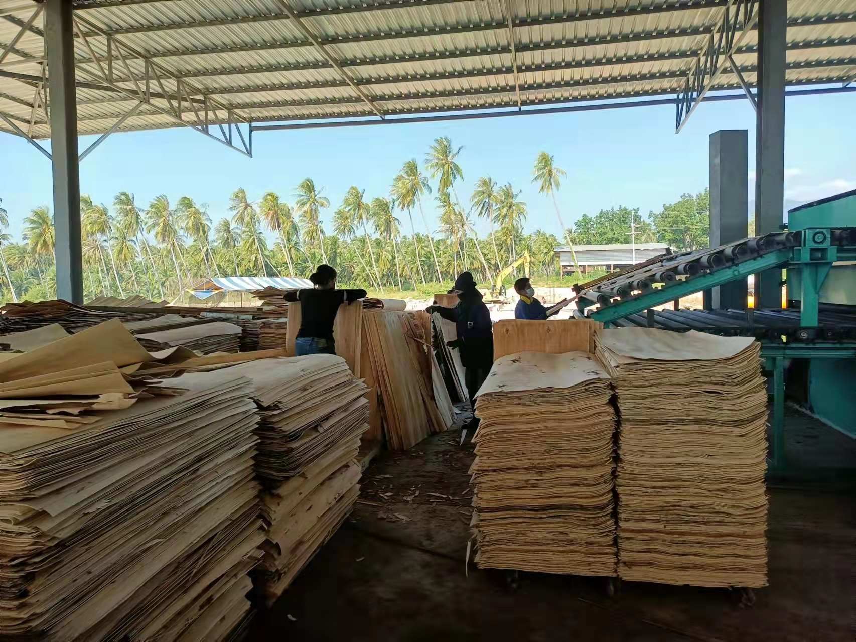 veneer after drying.jpg