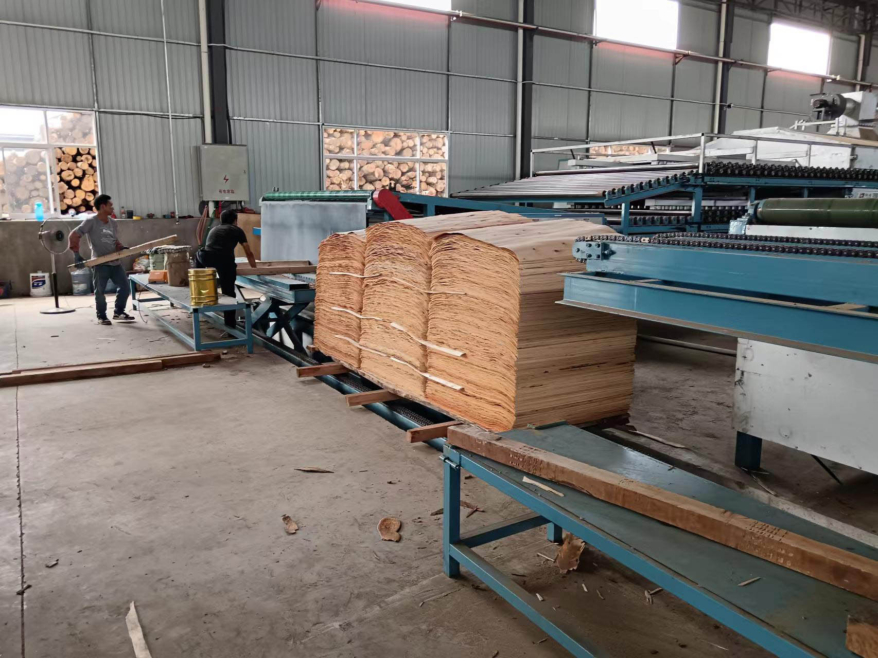 Roller Veneer Dryer