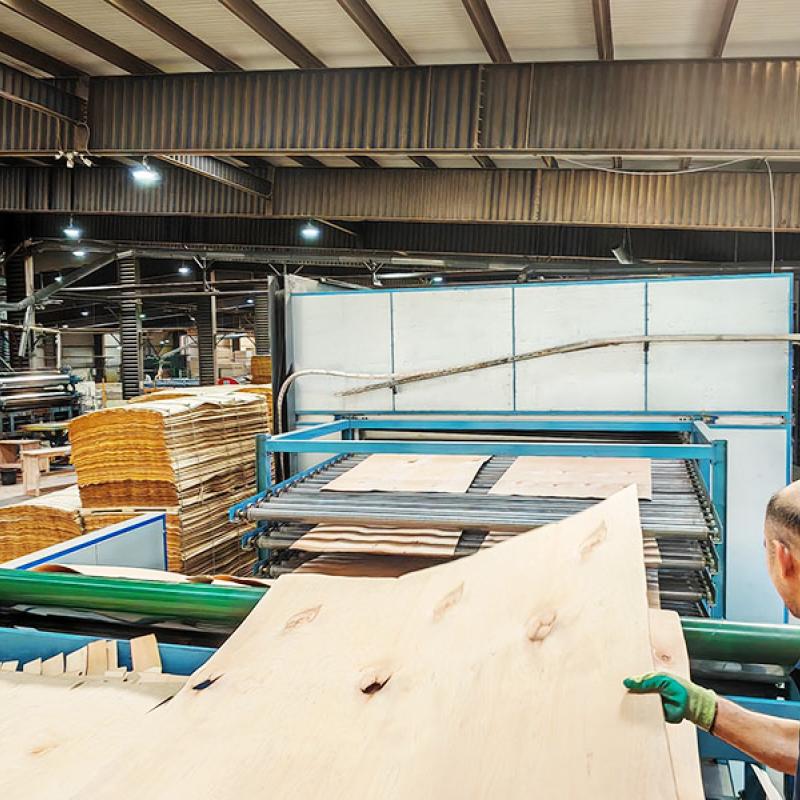 Veneer Drying