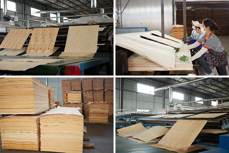 veneer production line.jpg