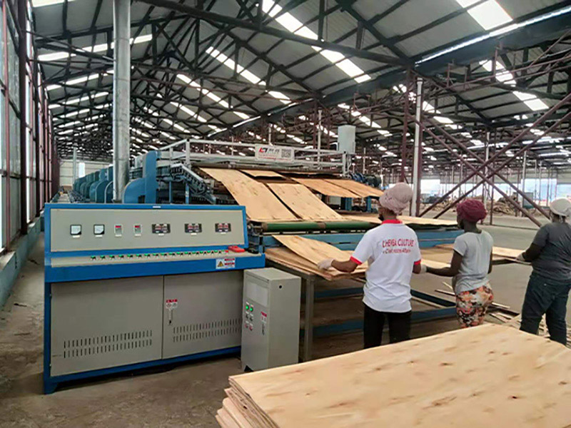 Veneer Drying Machine